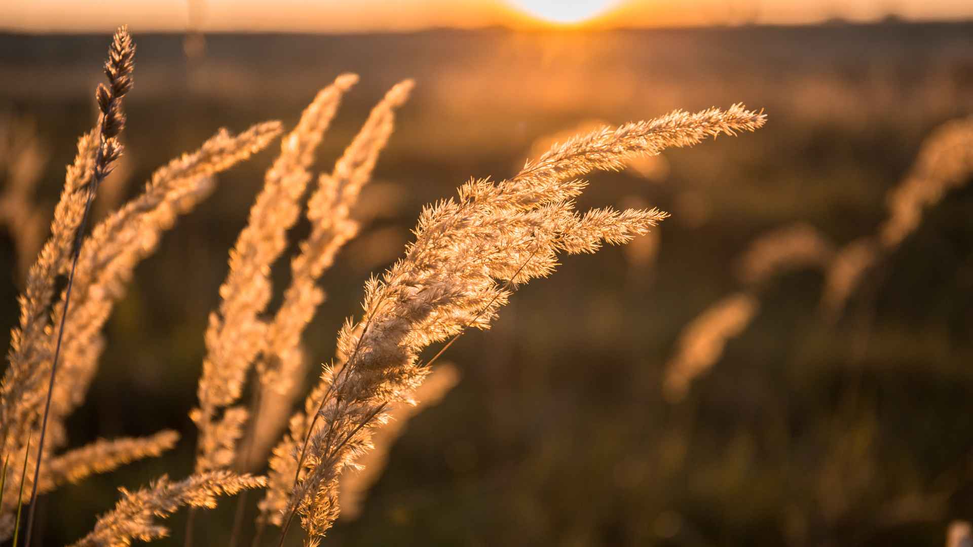 Desentrañar el misterio de la Identidad Personal